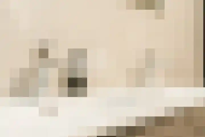 Jonkheer 8 Geldrop thumbnail 18