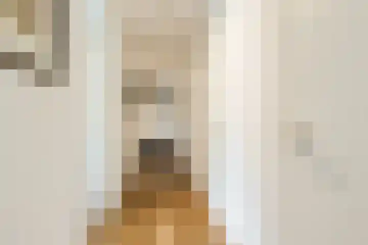Jonkheer 8 Geldrop thumbnail 19
