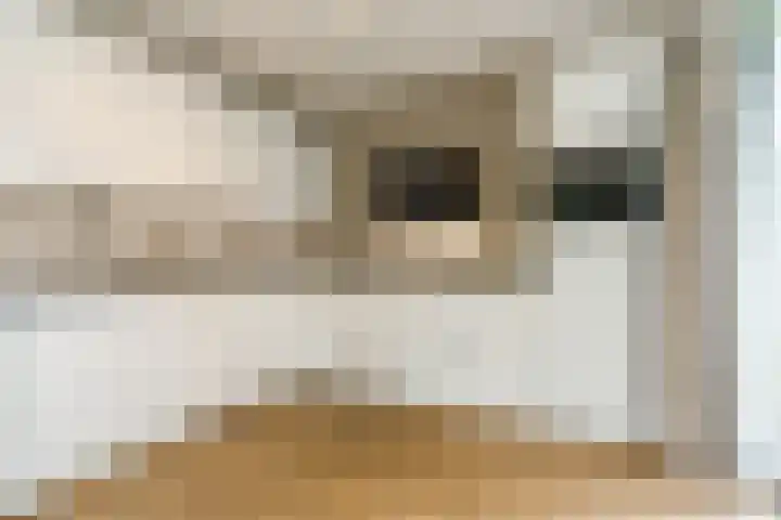 Jonkheer 8 Geldrop foto 2