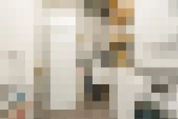 Jonkheer 8 Geldrop thumbnail 21
