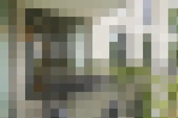 Jonkheer 8 Geldrop thumbnail 22
