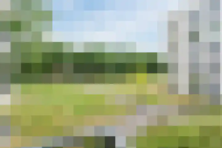 Jonkheer 8 Geldrop thumbnail 23