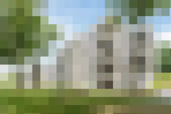 Jonkheer 8 Geldrop thumbnail 25