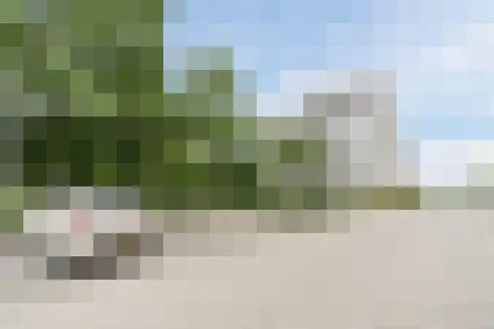 Jonkheer 8 Geldrop thumbnail 27