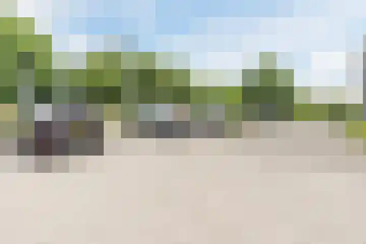 Jonkheer 8 Geldrop thumbnail 28
