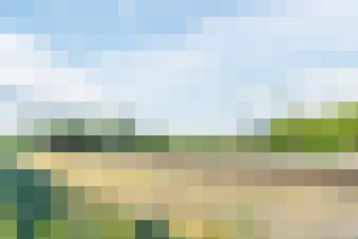 Jonkheer 8 Geldrop thumbnail 29