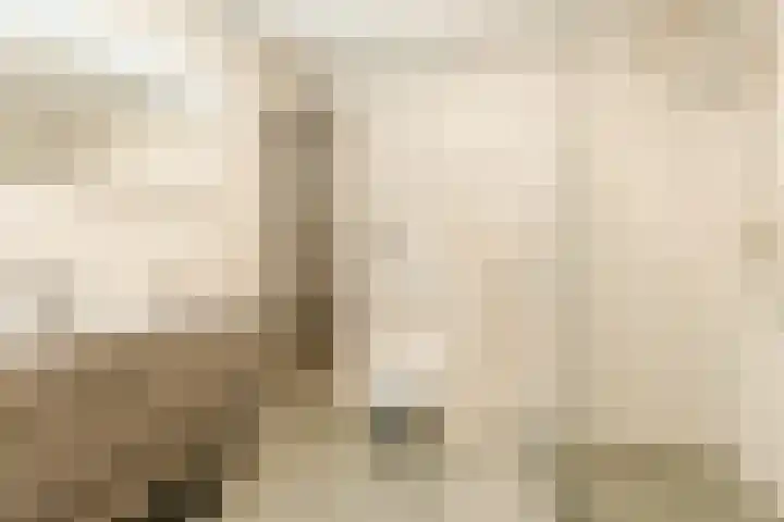 Jonkheer 8 Geldrop foto 3