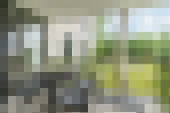 Jonkheer 8 Geldrop thumbnail 4