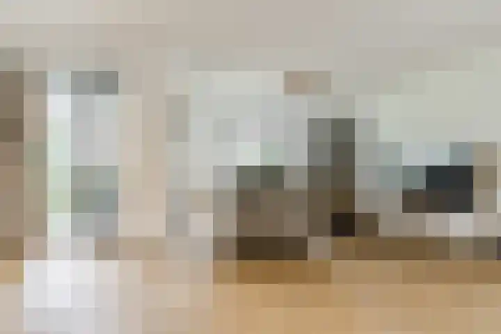 Jonkheer 8 Geldrop thumbnail 7