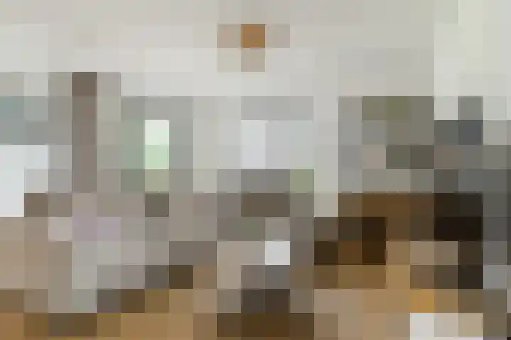 Jonkheer 8 Geldrop thumbnail 8