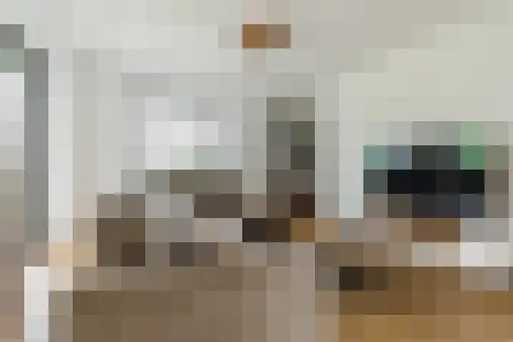 Jonkheer 8 Geldrop thumbnail 9