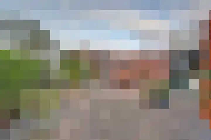 Jonkheer A.F. de Savornin Lohmanstraat 32 Harlingen thumbnail 28