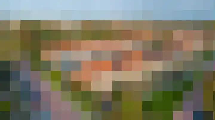 Jonkheer A.F. de Savornin Lohmanstraat 32 Harlingen thumbnail 37