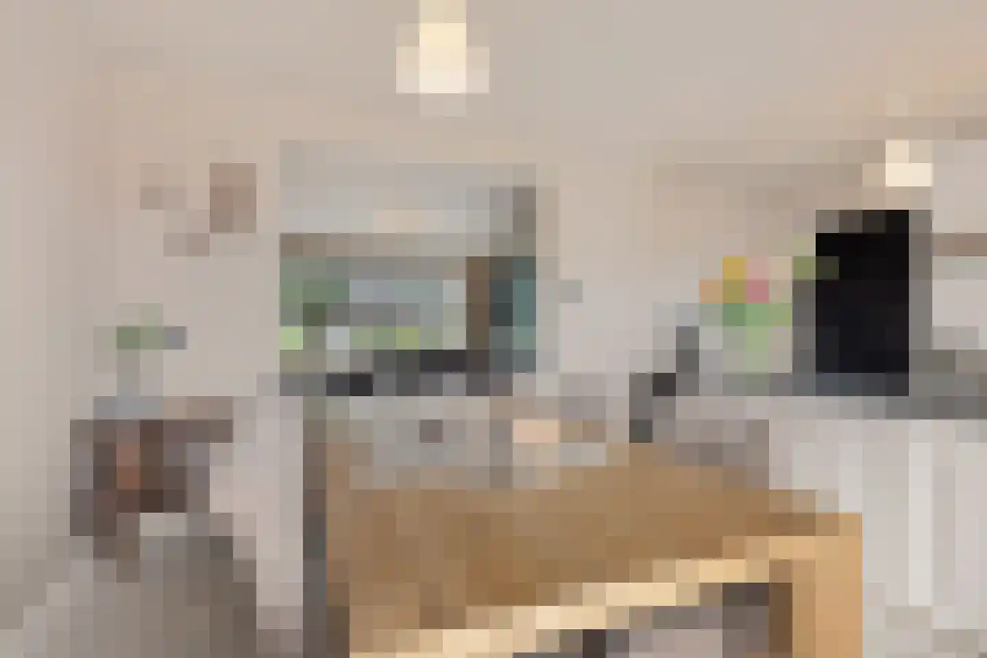 Jonkheer de Jongestraat 11 Hoogeveen thumbnail 17