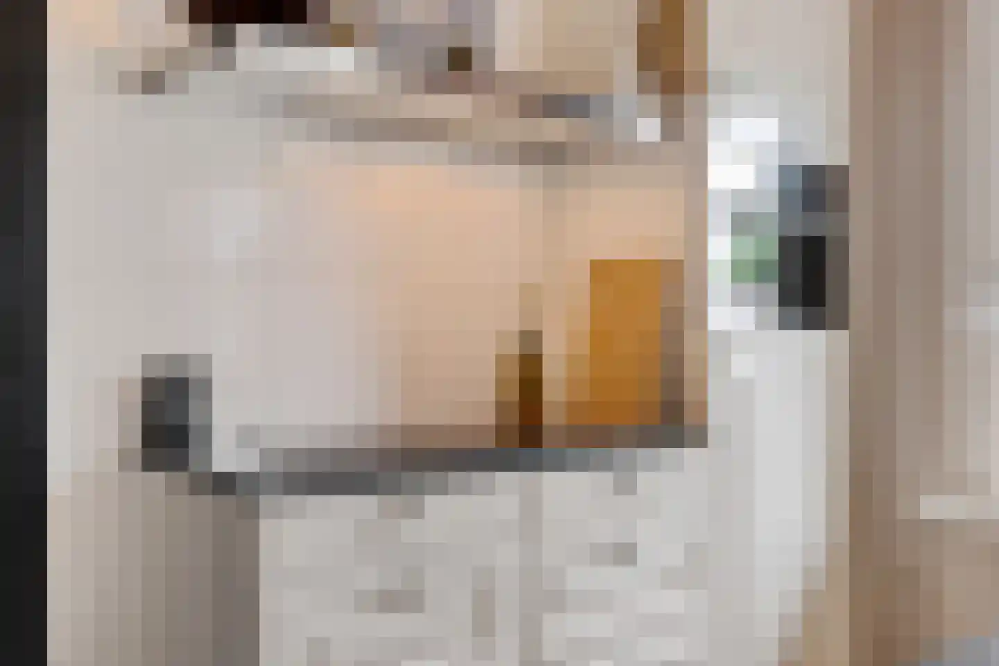 Jonkheer de Jongestraat 11 Hoogeveen thumbnail 19