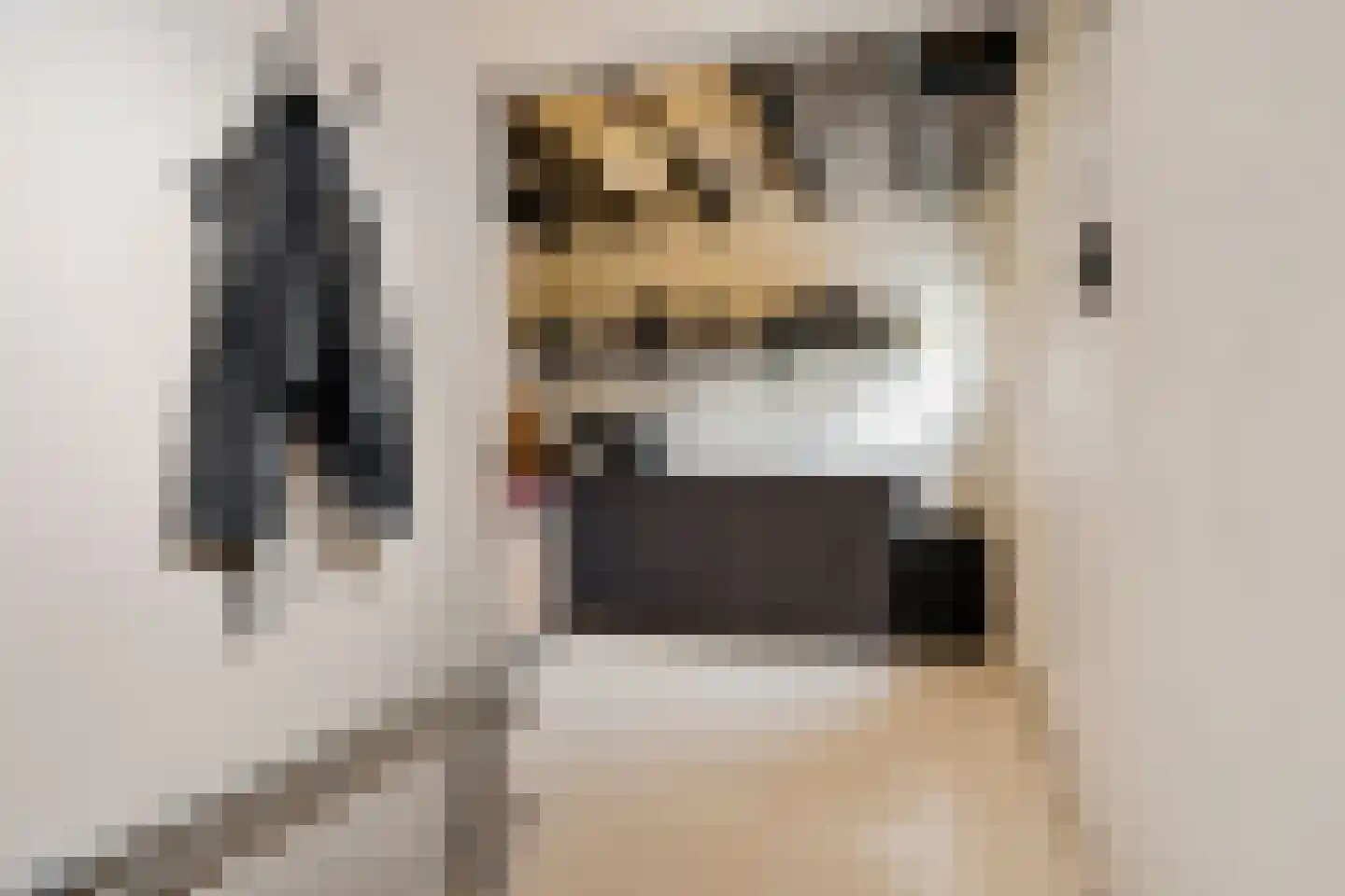 Jonkheer de Jongestraat 11 Hoogeveen thumbnail 22