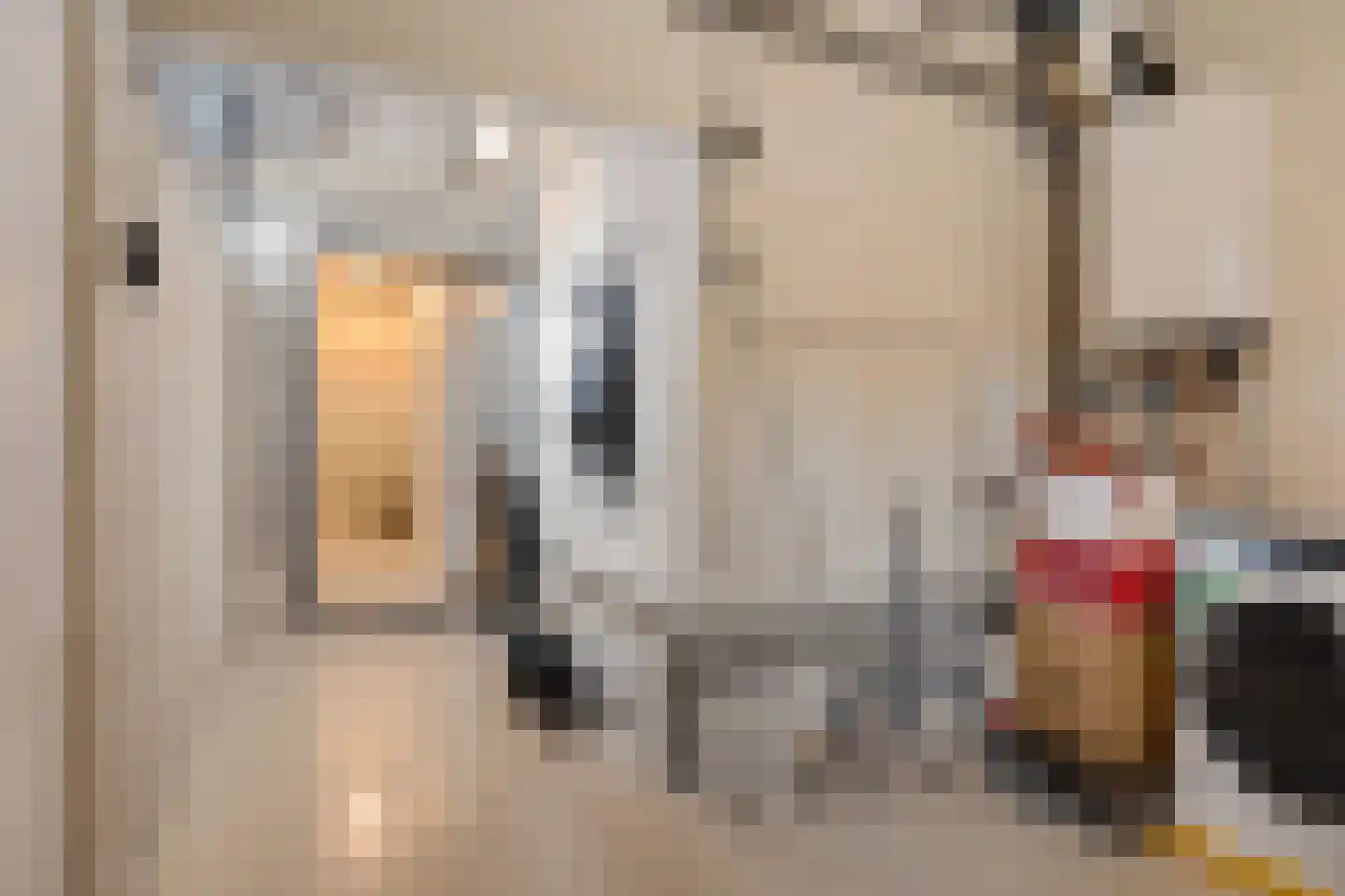 Jonkheer de Jongestraat 11 Hoogeveen thumbnail 23
