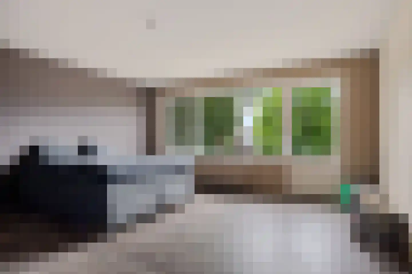 Jonkheer de Jongestraat 11 Hoogeveen thumbnail 26
