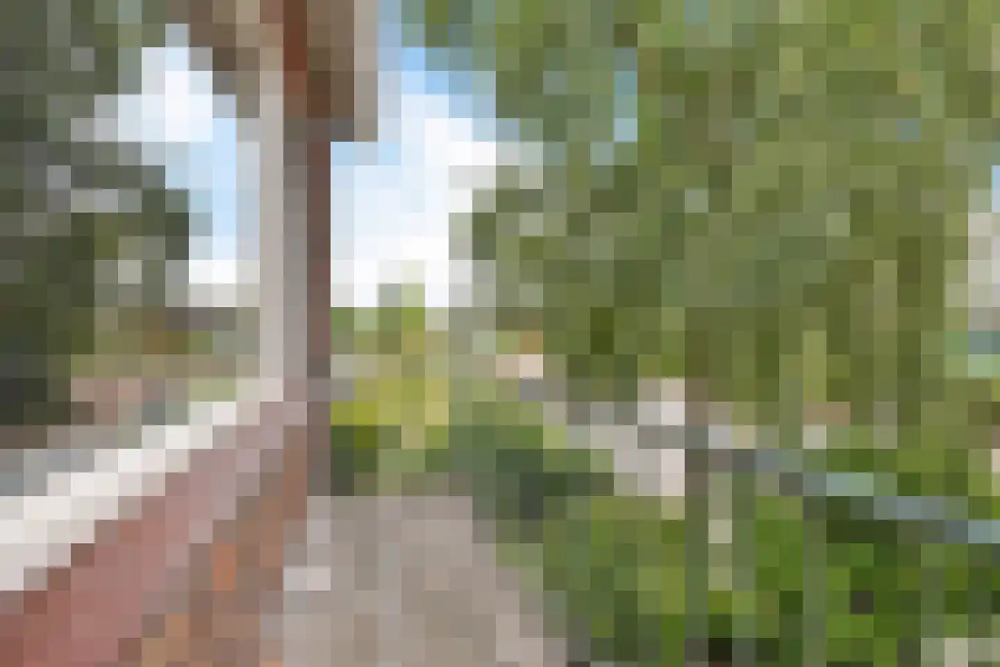 Jonkheer de Jongestraat 11 Hoogeveen thumbnail 29