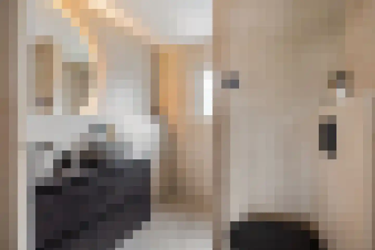 Jonkheer de Jongestraat 11 Hoogeveen thumbnail 36