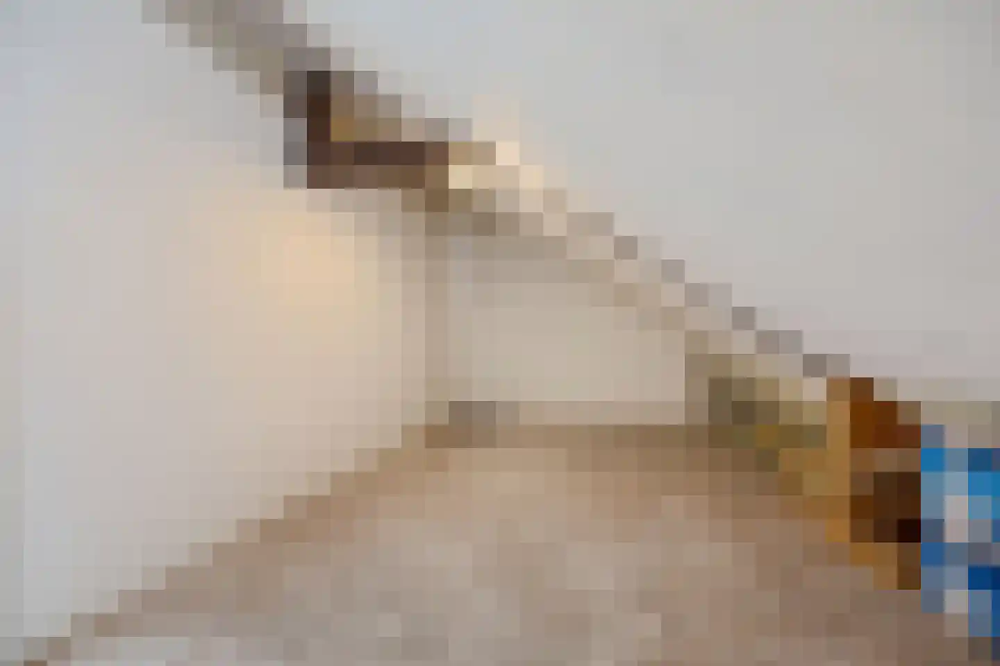 Jonkheer de Jongestraat 11 Hoogeveen thumbnail 41