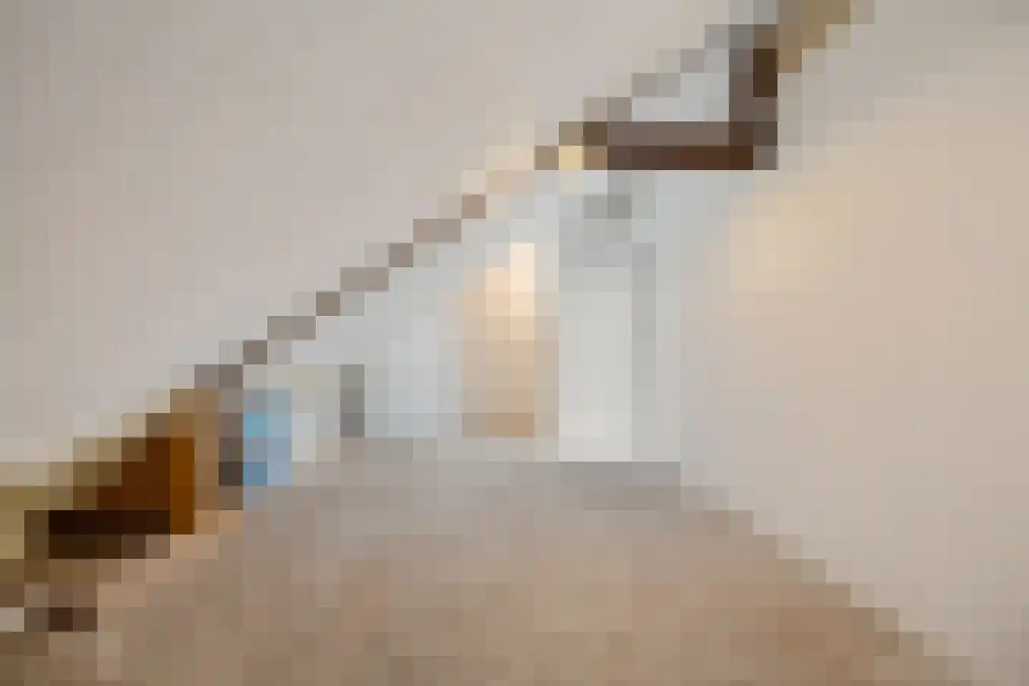 Jonkheer de Jongestraat 11 Hoogeveen thumbnail 42