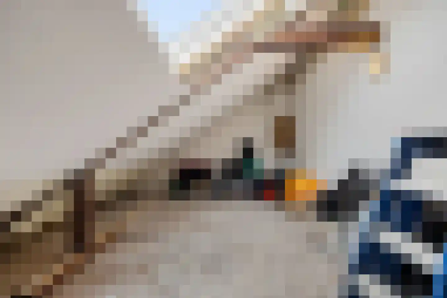 Jonkheer de Jongestraat 11 Hoogeveen thumbnail 43