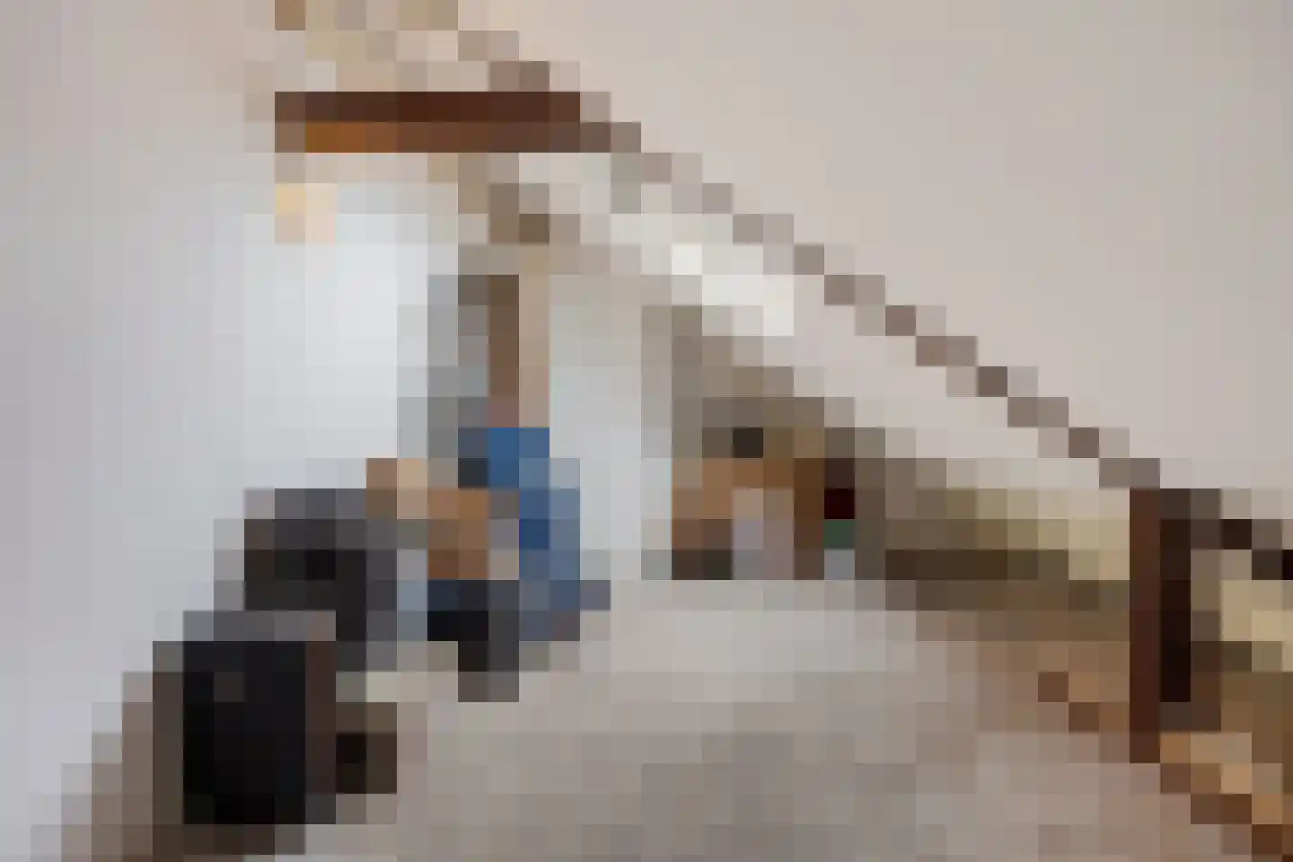 Jonkheer de Jongestraat 11 Hoogeveen thumbnail 44