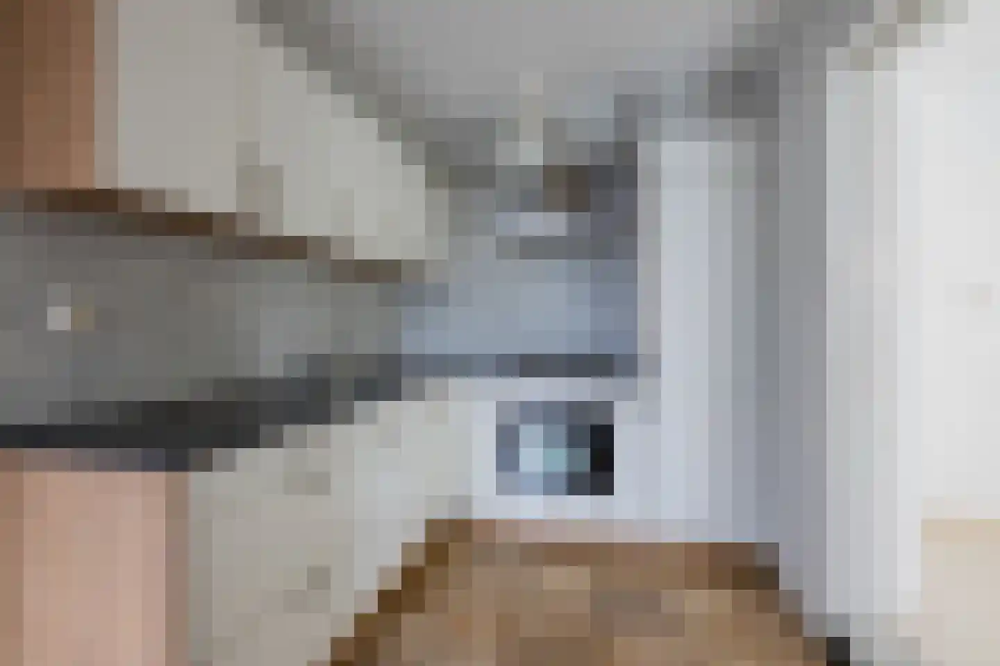 Jonkheer de Jongestraat 9 Hoogeveen thumbnail 19