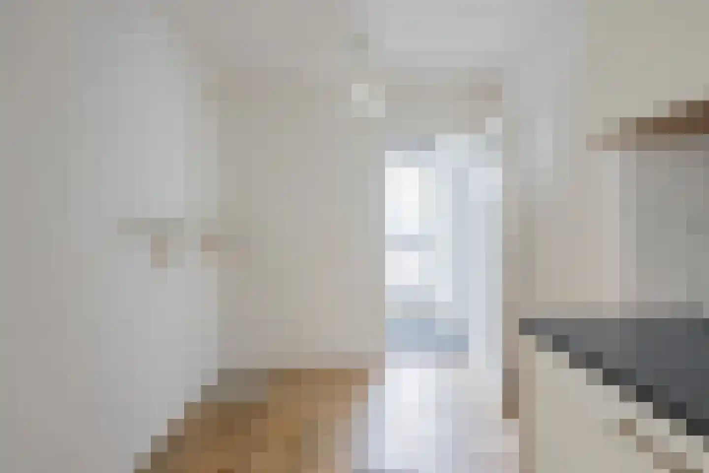 Jonkheer de Jongestraat 9 Hoogeveen thumbnail 21
