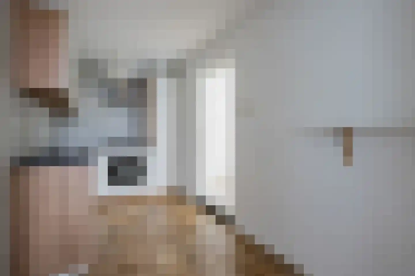 Jonkheer de Jongestraat 9 Hoogeveen thumbnail 22