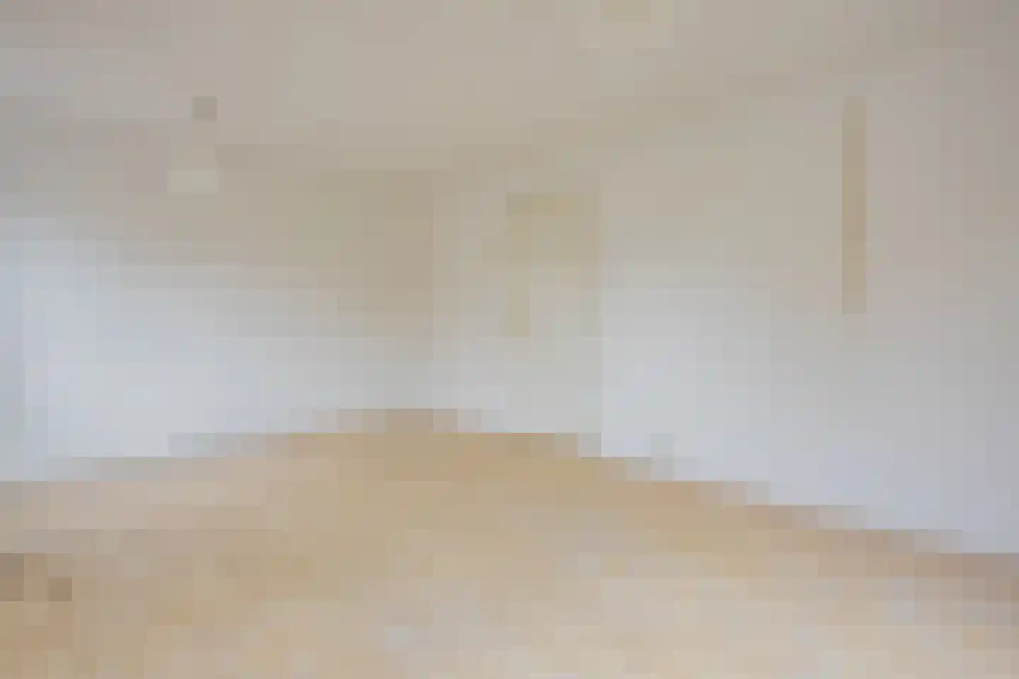Jonkheer de Jongestraat 9 Hoogeveen thumbnail 31