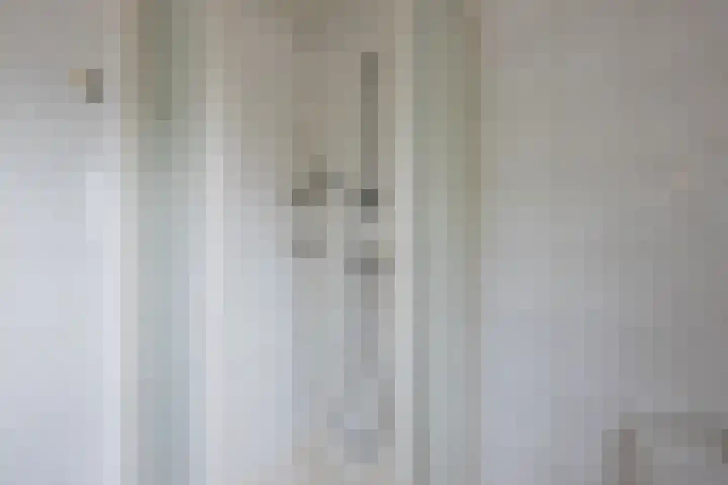 Jonkheer de Jongestraat 9 Hoogeveen thumbnail 38