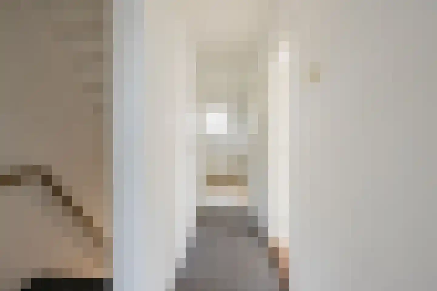 Jonkheer de Jongestraat 9 Hoogeveen thumbnail 41
