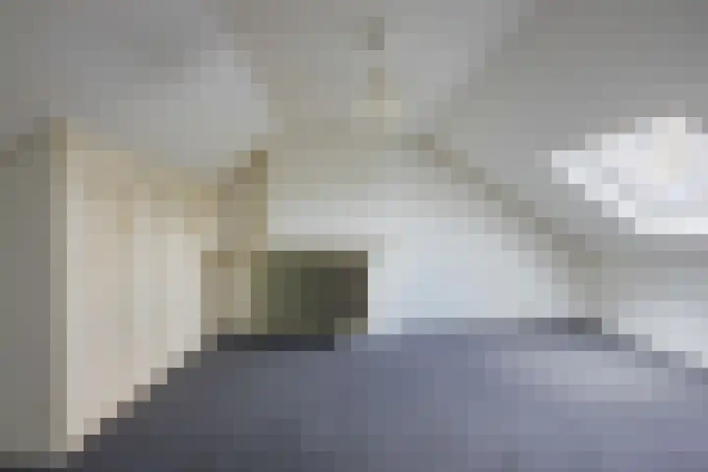 Jonkheer de Jongestraat 9 Hoogeveen thumbnail 42