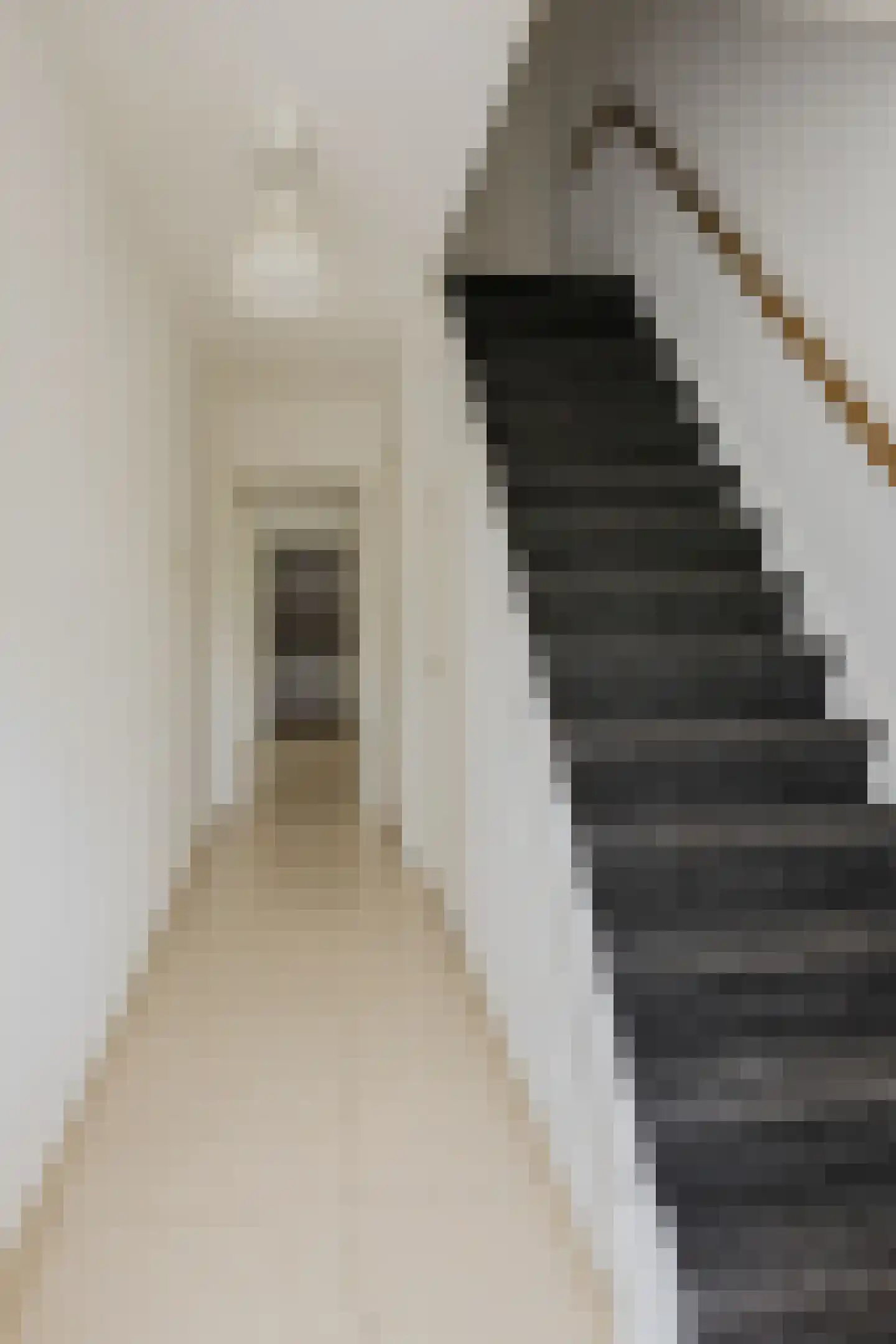 Jonkheer de Jongestraat 9 Hoogeveen thumbnail 7
