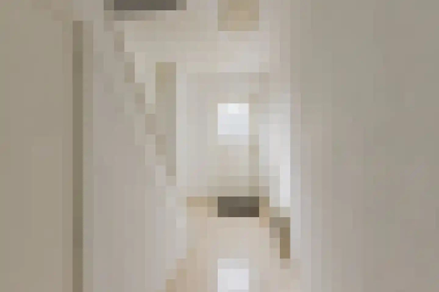 Jonkheer de Jongestraat 9 Hoogeveen thumbnail 8