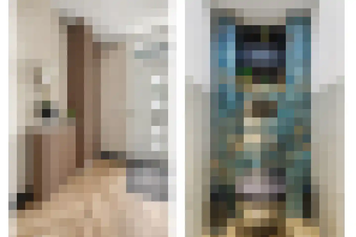 Jonkheer de la Courtstraat 21 Vlijmen thumbnail 16