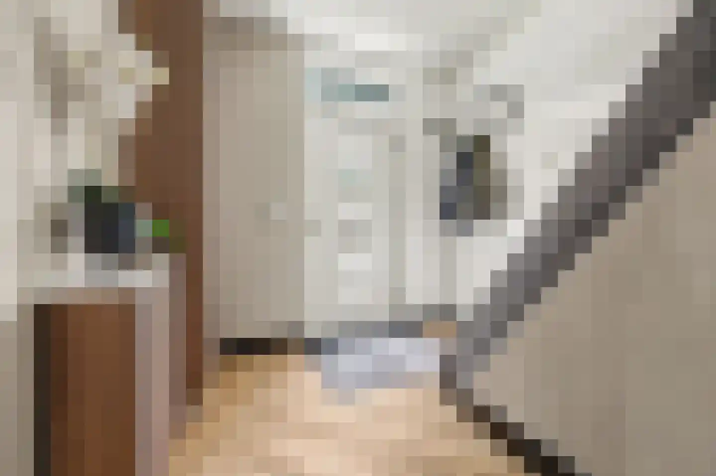 Jonkheer de la Courtstraat 21 Vlijmen thumbnail 17