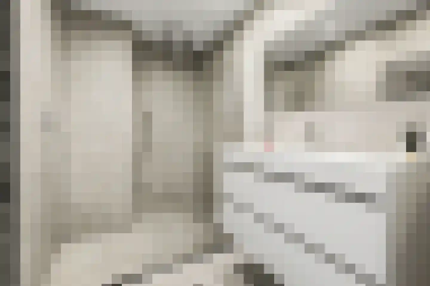 Jonkheer de la Courtstraat 21 Vlijmen thumbnail 21
