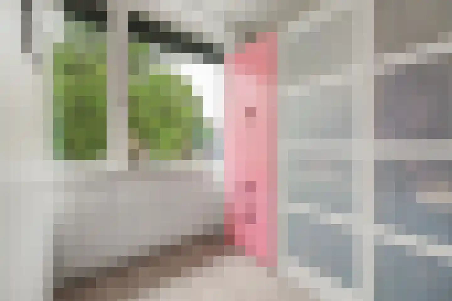 Jonkheer de la Courtstraat 21 Vlijmen thumbnail 25