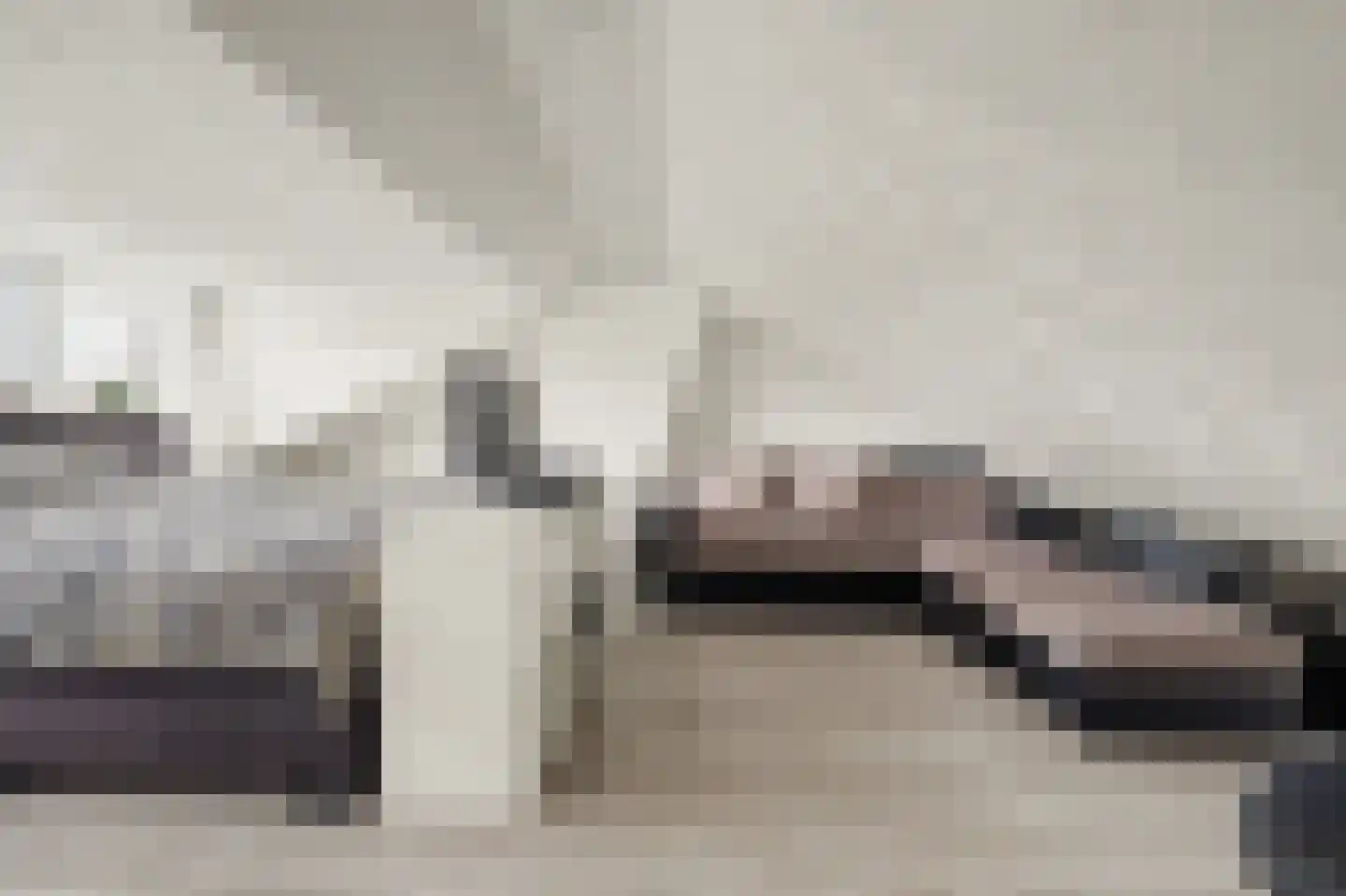 Jonkheer de la Courtstraat 21 Vlijmen thumbnail 29