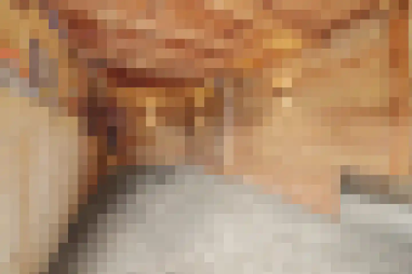 Jonkheer de la Courtstraat 21 Vlijmen thumbnail 36