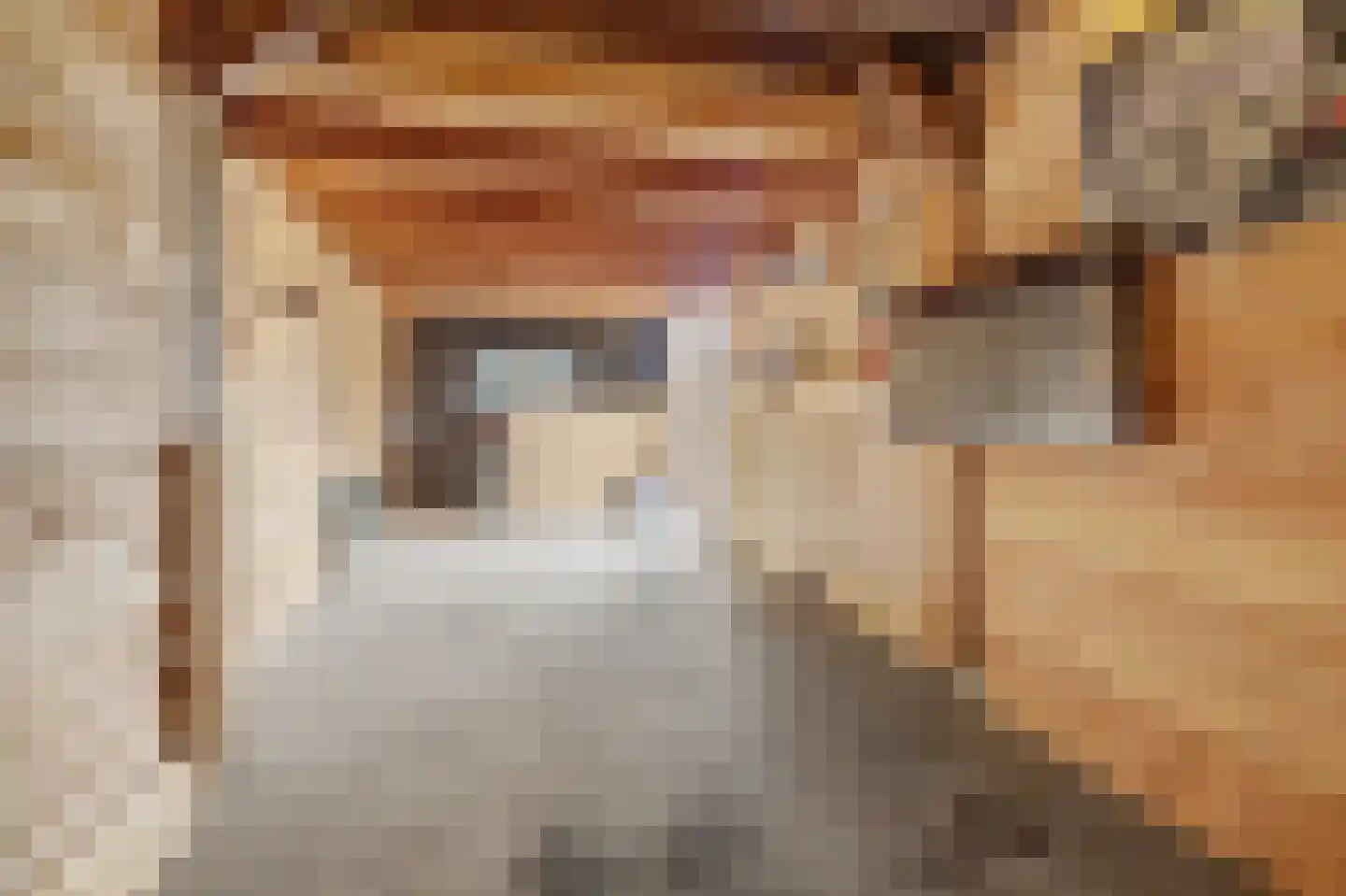 Jonkheer de la Courtstraat 21 Vlijmen thumbnail 37