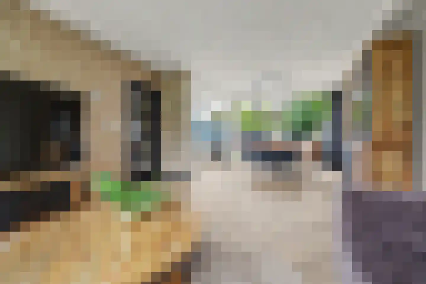 Jonkheer de la Courtstraat 21 Vlijmen thumbnail 4