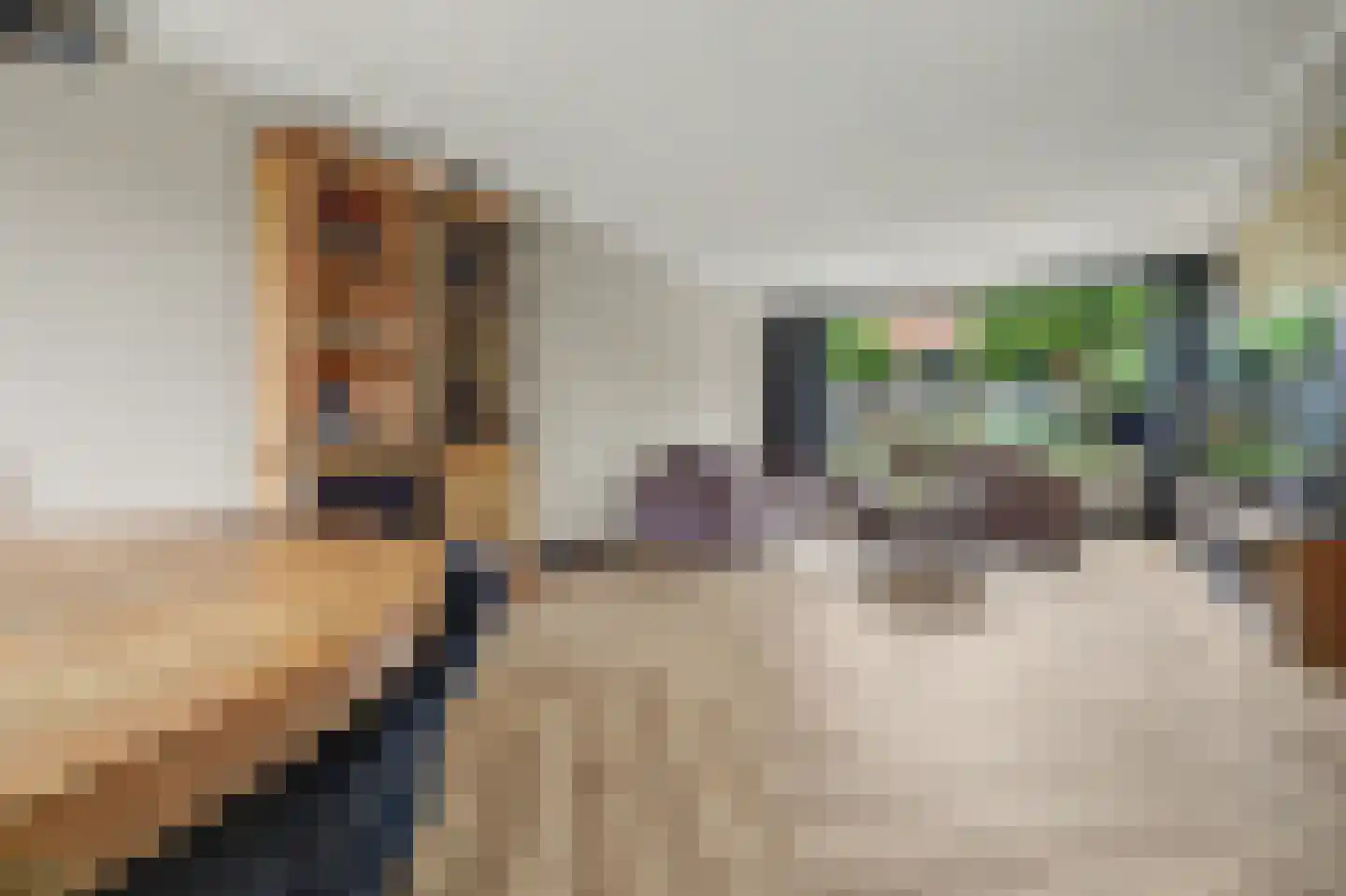 Jonkheer de la Courtstraat 21 Vlijmen thumbnail 5