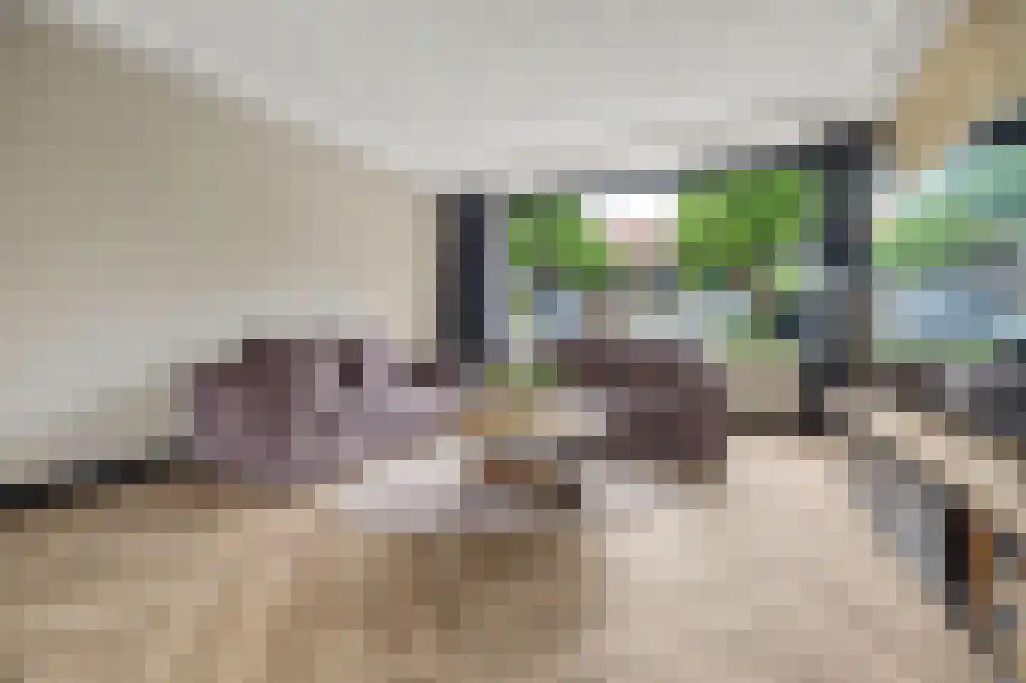 Jonkheer de la Courtstraat 21 Vlijmen thumbnail 6