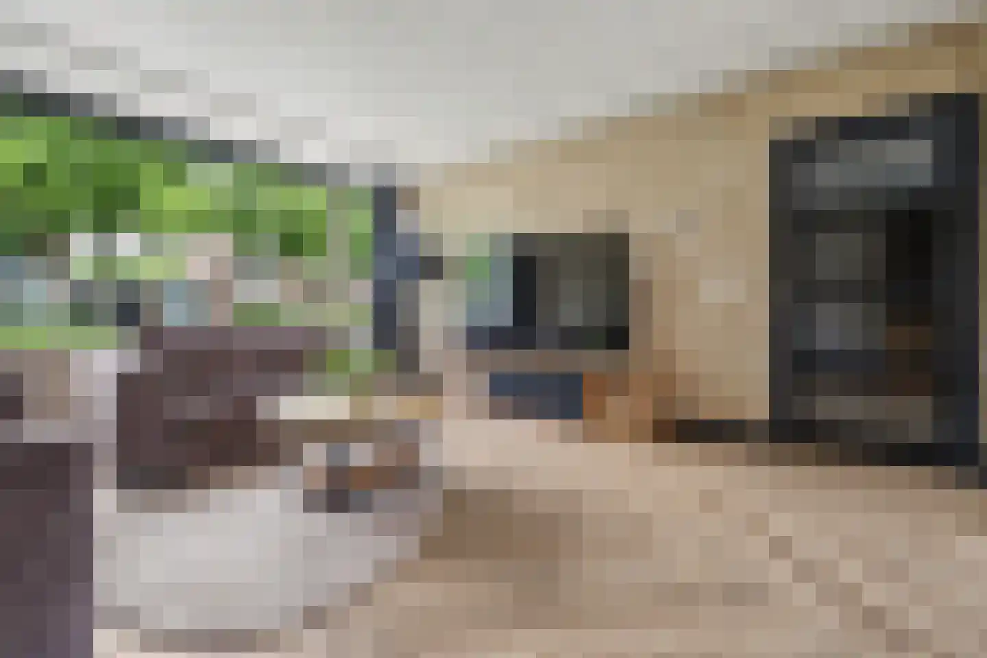 Jonkheer de la Courtstraat 21 Vlijmen thumbnail 7