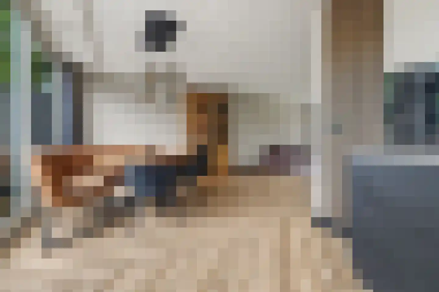 Jonkheer de la Courtstraat 21 Vlijmen thumbnail 9