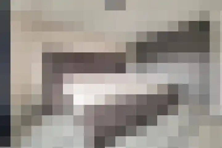 Jonkheer de la Courtstraat 28 Vlijmen thumbnail 28